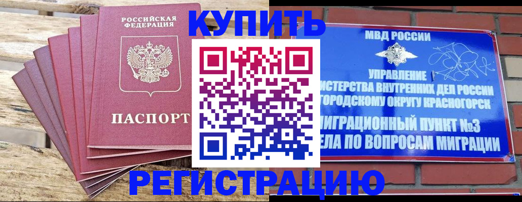 прописка 2025 в Северодвинске